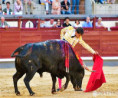 Madrid: Sangre y Verdad en Las Ventas